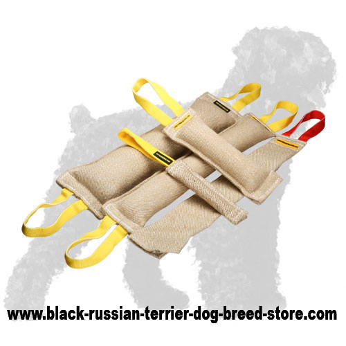 Reliable Jute Russian Terrier Set of Bite Tugs