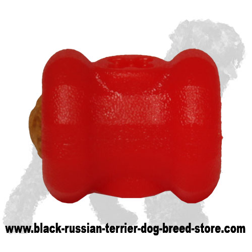 Imperishable' Bull Terrier Dog Toy - Fire Plug, SMALL SIZE [TT27#1090 6 x  7.5 cm Fire Plug Treat Toy] : Bull Terrier Harnesses, Bull Terrier Muzzle,  Bull Terrier Collars, Bull Terrier Leads