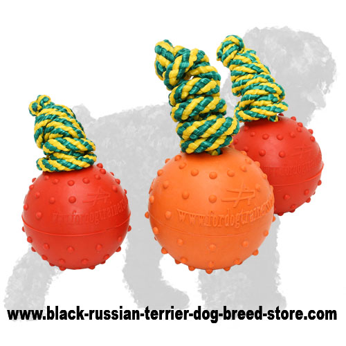 High Quality Solid Rubber Russian Terrier Floating Ball