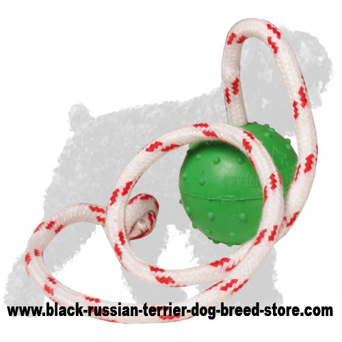 Solid Rubber Russian Terrier Ball on Rope