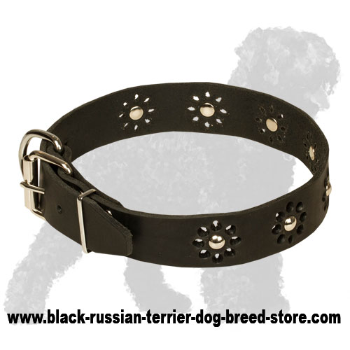 Decorated with Flowers Leather Black Russian Terrier Collar - Click Image to Close