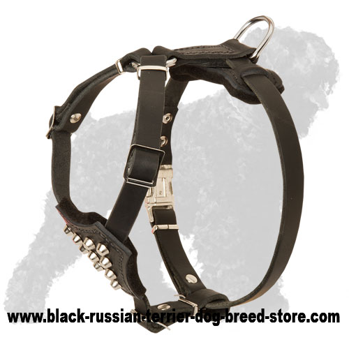 Studded Leather Black Russian Terrier Puppy Harness