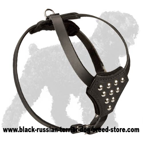 Unique Studded Padded Leather Black Russian Terrier Harness