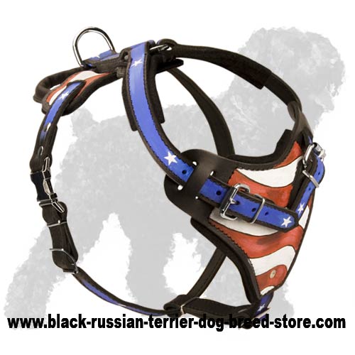 Handpainted great leather harness for Black Russian Terrier
