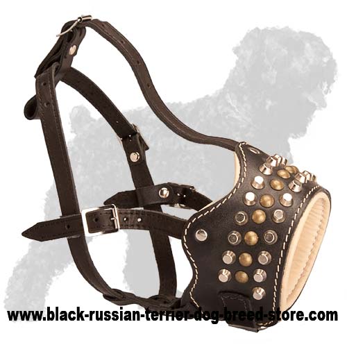 Everyday Perfect Air Flow Leather Muzzle for Black Russian Terrier