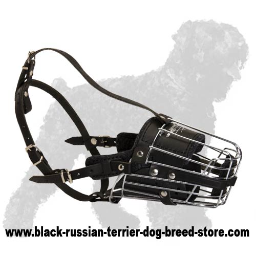'No Mash' Super Fashionable Wire Cage Muzzle for Active Black Russian Terrier
