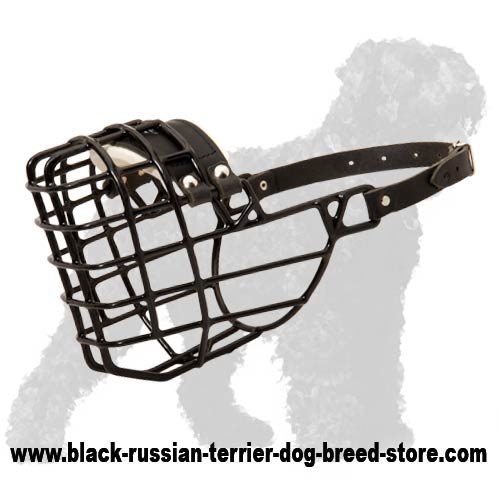 Special Winter Wire Basket Muzzle for Black Russian Terrier