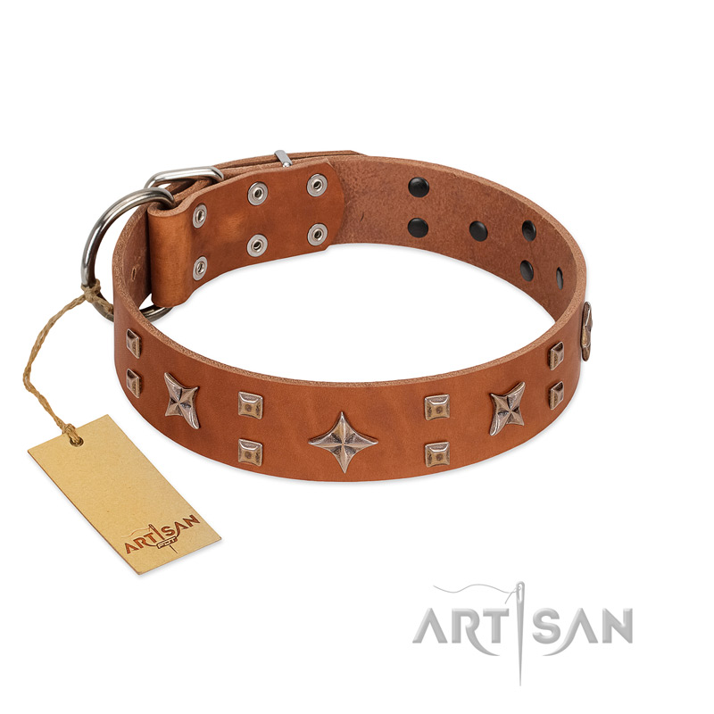 "Dreamy Gleam" FDT Artisan Tan Leather Black Russian Terrier Collar Adorned with Stars and Squares