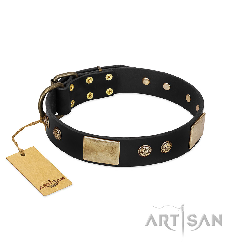 "Antique Gloss" FDT Artisan Black Leather Black Russian Terrier Collar with Bronze-like Plates and Small Studs
