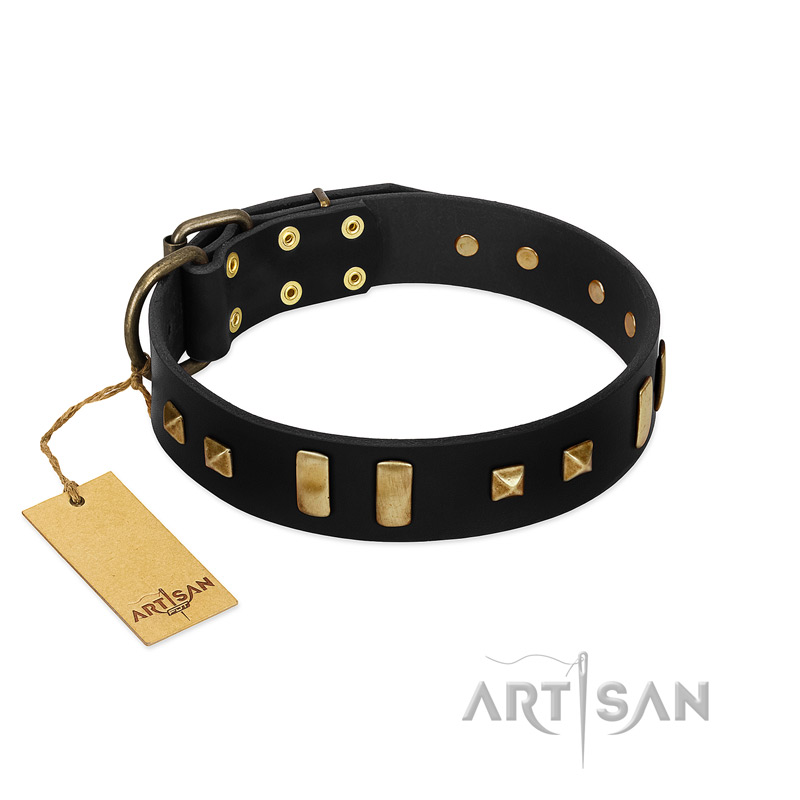 "Fit for Royalty" FDT Artisan Black Leather Black Russian Terrier Collar with Plates and Small Square Studs