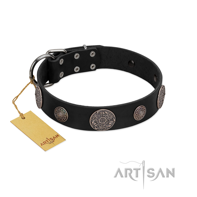 "Ad Infinitum" Durable FDT Artisan Black Leather Black Russian Terrier Collar with Chrome Plated Brooches