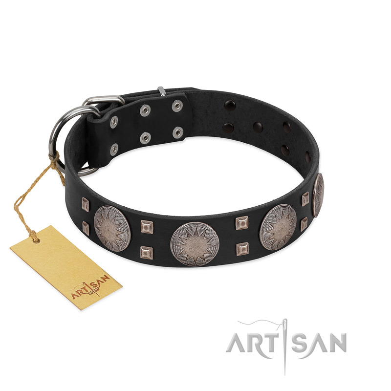 "Sun in Shining" Modern FDT Artisan Black Leather Black Russian Terrier Collar with Studs and Stars