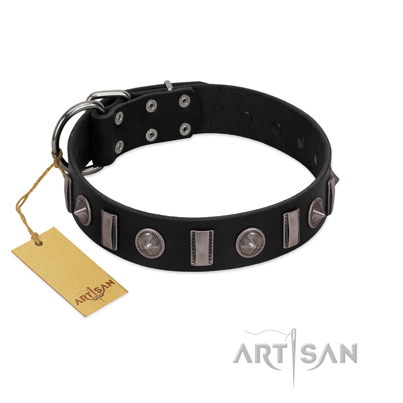 "Silver Spikes" Exclusive FDT Artisan Black Leather Black Russian Terrier Collar