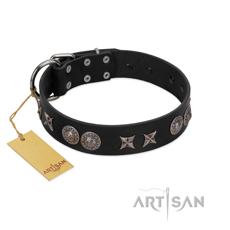 "Scythian Silver" Stylish Handmade FDT Artisan Black Leather Black Russian Terrier Collar