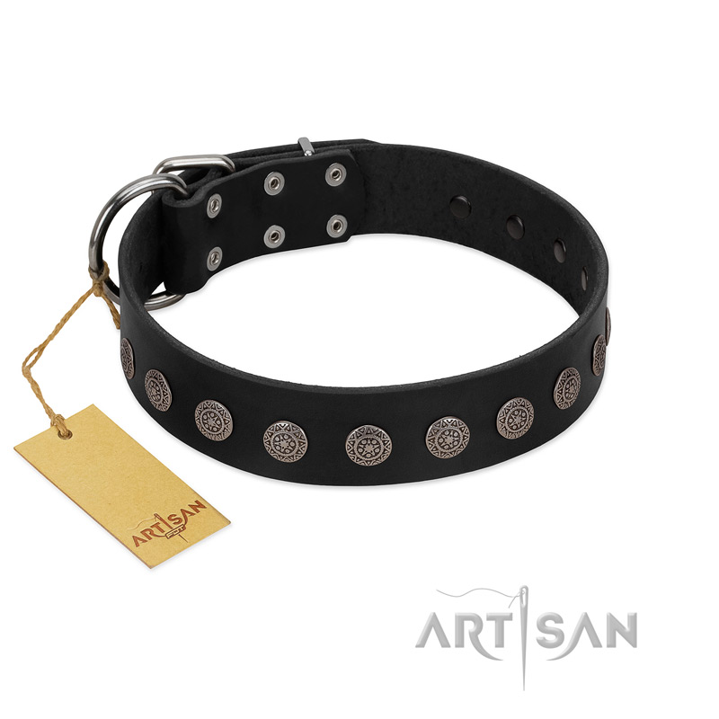 "Silent Star" Handmade FDT Artisan Designer Black Leather Black Russian Terrier Collar with Engraved Plates