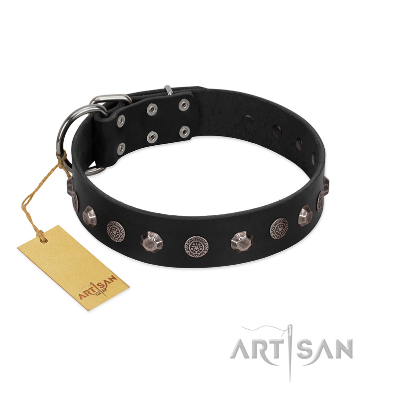 "Black Knight" Handmade FDT Artisan Black Leather Black Russian Terrier Collar with Silver-Like Studs