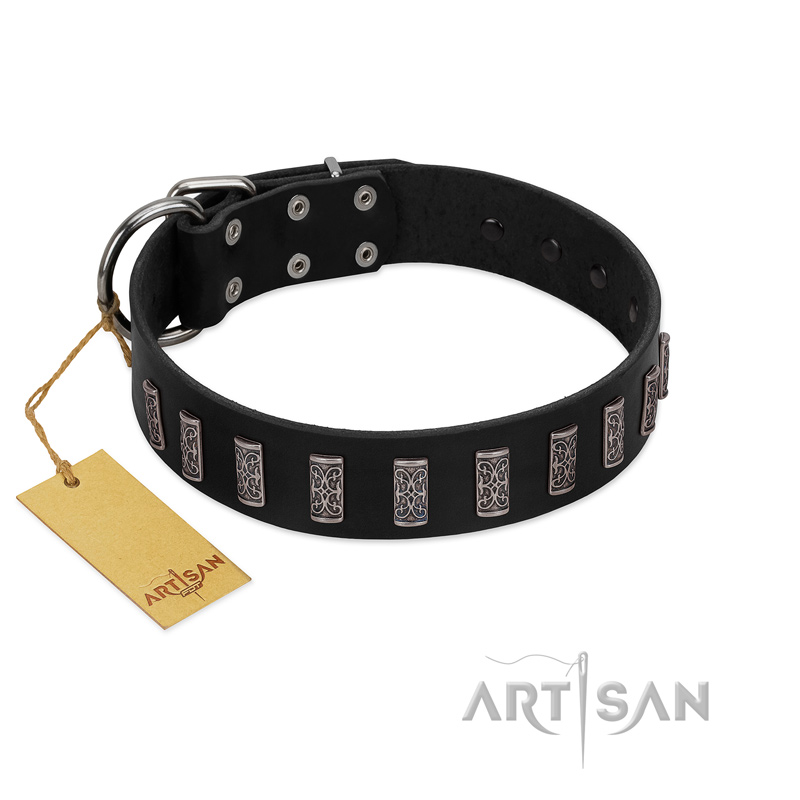 "Black Prince" Handmade FDT Artisan Black Leather Black Russian Terrier Collar with Silver-Like Adornments