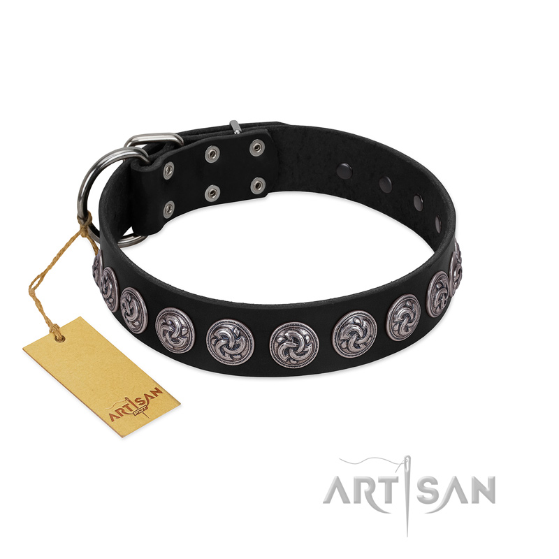 "Black Raven" Handmade FDT Artisan Black Leather Black Russian Terrier Collar with Silver-Like Adornments