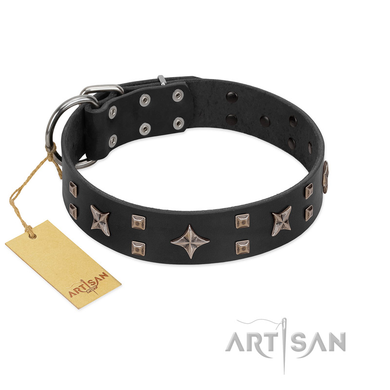 "Star Excitement" Modern FDT Artisan Black Leather Black Russian Terrier Collar with Studs and Stars