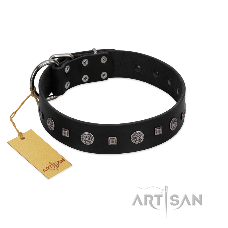 "Mr. Elegance" Designer FDT Artisan Black Leather Black Russian Terrier Collar with Silver-Like Studs