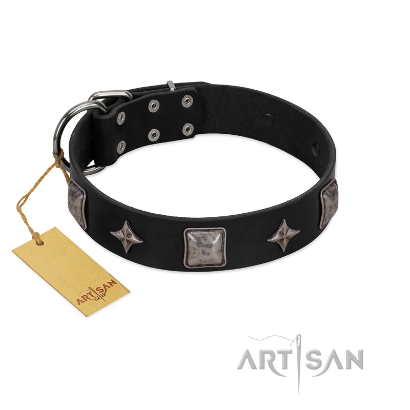 "Black Cavalier" Handmade FDT Artisan Black Leather Black Russian Terrier Collar with Silver-Like Stars and Large Plates