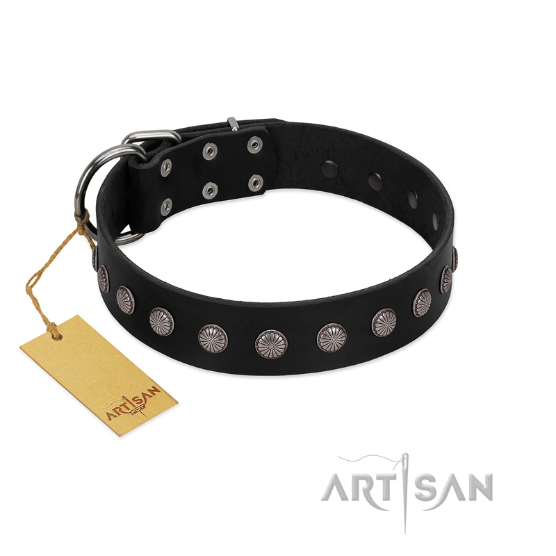 "Silver Flower" Exclusive FDT Artisan Black Leather Black Russian Terrier Collar with Silver-Like Studs
