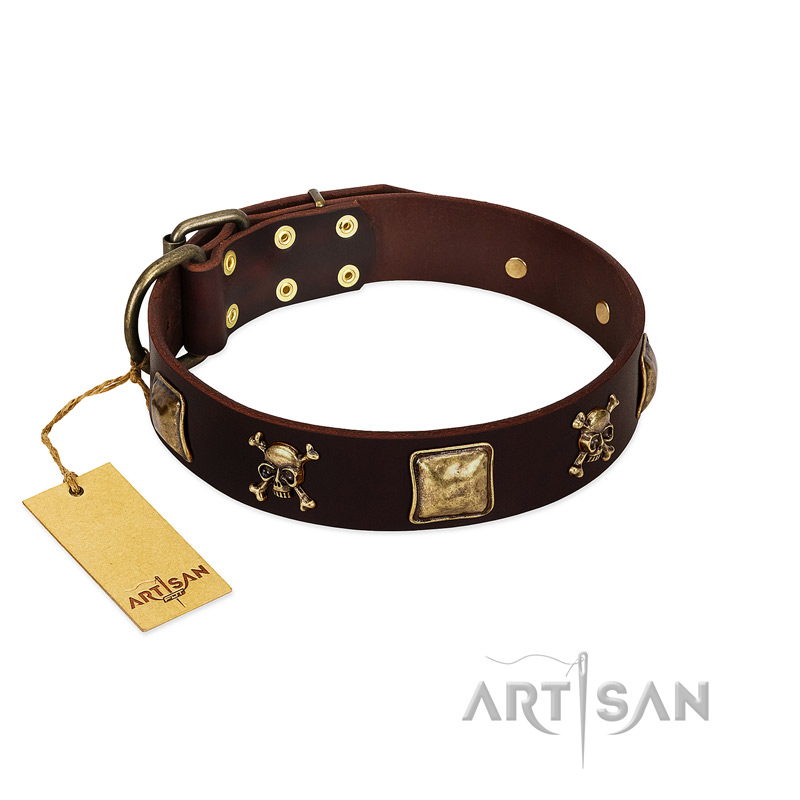 "Crazy Pirate" FDT Artisan Brown Leather Black Russian Terrier Collar with Old Bronze-Plated Skulls and Plates
