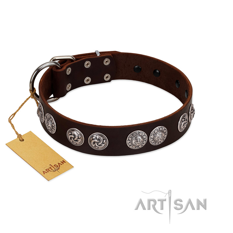 "High and Mighty" FDT Artisan Classy Brown Leather Black Russian Terrier Collar with Embellished Brooches