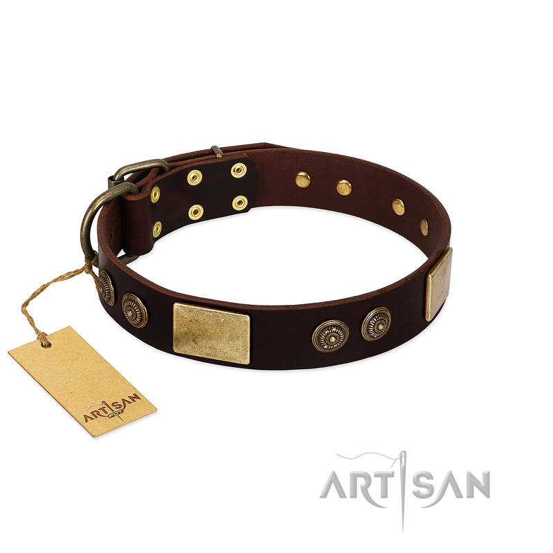 "Bow-Wow Effect" FDT Artisan Brown Leather Black Russian Terrier Collar with Plates and Ornate Studs