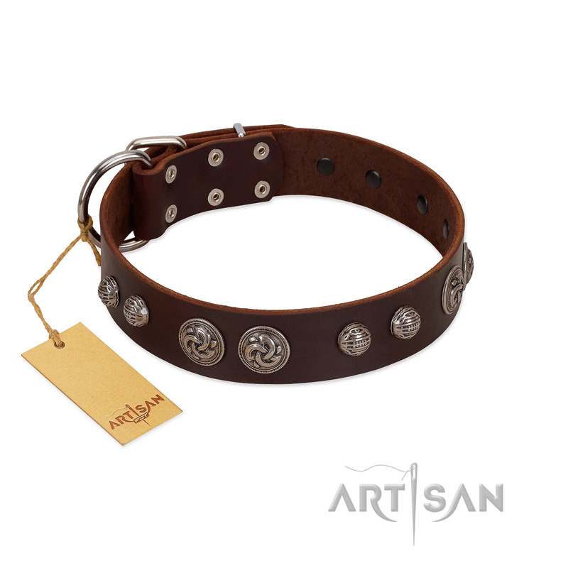 "Choco Brownie" FDT Artisan Brown Leather Black Russian Terrier Collar Adorned with Silver-Like Conchos