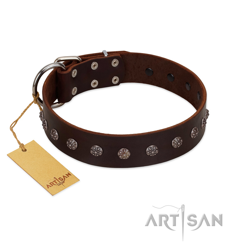 "Graceful Classic" Mod FDT Artisan Brown Leather Black Russian Terrier Collar