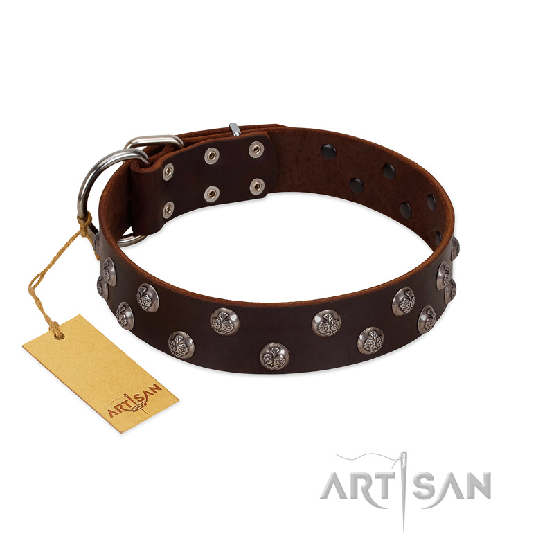 "Blossom Jewel" FDT Artisan Brown Leather Black Russian Terrier Collar with Two Rows of Silver-like Studs with Engraved Flowers