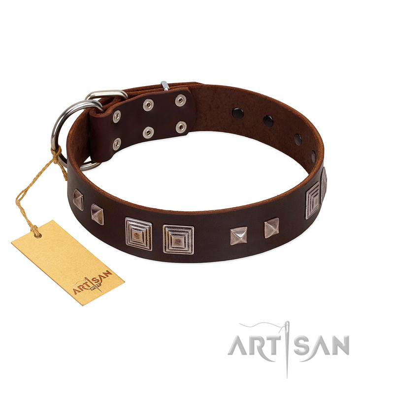 "Object of Virtu" FDT Artisan Brown Leather Black Russian Terrier Collar with Old Silver-like Square Studs and Pyramids