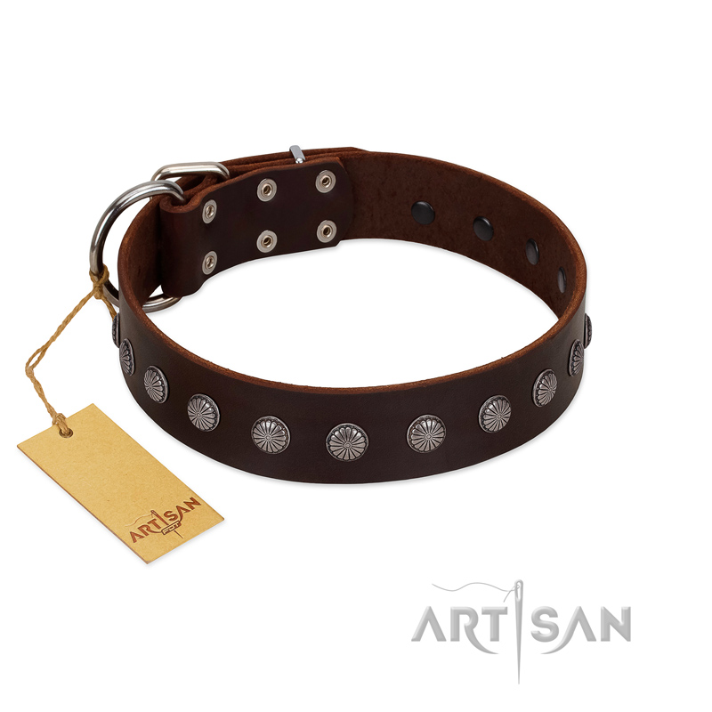 "Spring Flower" Stylish FDT Artisan Brown Leather Black Russian Terrier Collar for Comfy Walks
