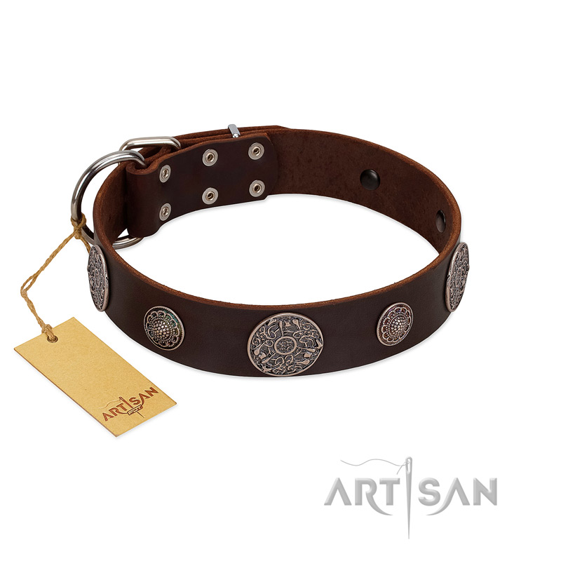 "Flashy Woof" FDT Artisan Brown Leather Black Russian Terrier Collar with Chrome Plated Brooches