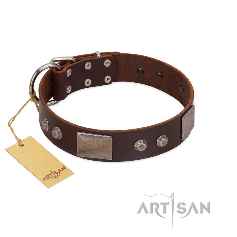 "Stone Stars" Stylish Handmade FDT Artisan Brown Leather Black Russian Terrier Collar