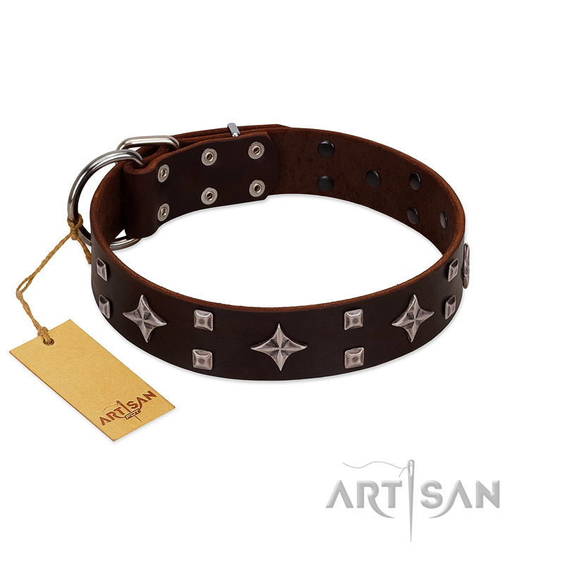 "Trendy Candy" FDT Artisan Brown Leather Black Russian Terrier Collar Adorned with Stars and Tiny Squares