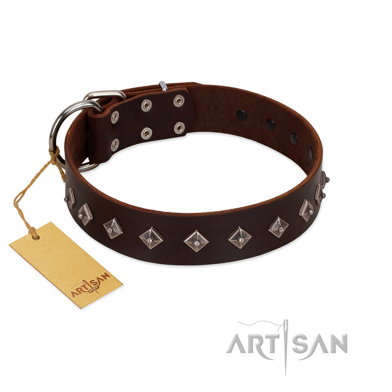 "Boundless Energy" Premium Quality FDT Artisan Brown Designer Leather Black Russian Terrier Collar with Small Pyramids
