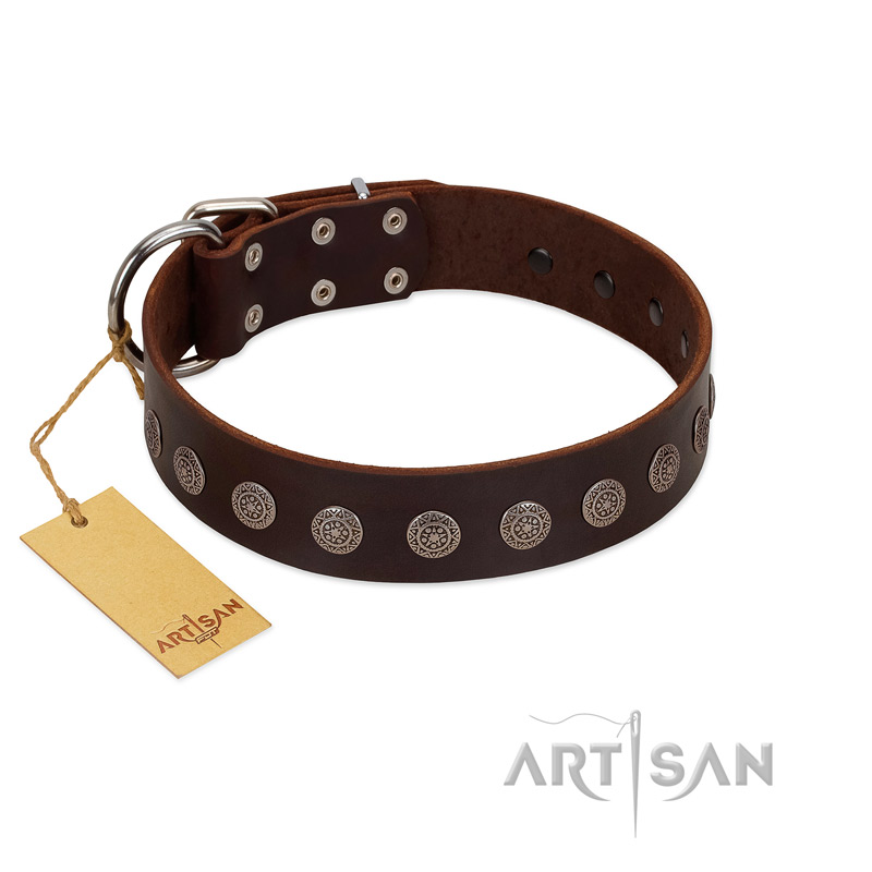 "Starry-Eyed" Best Quality FDT Artisan Brown Designer Leather Black Russian Terrier Collar with Small Plates