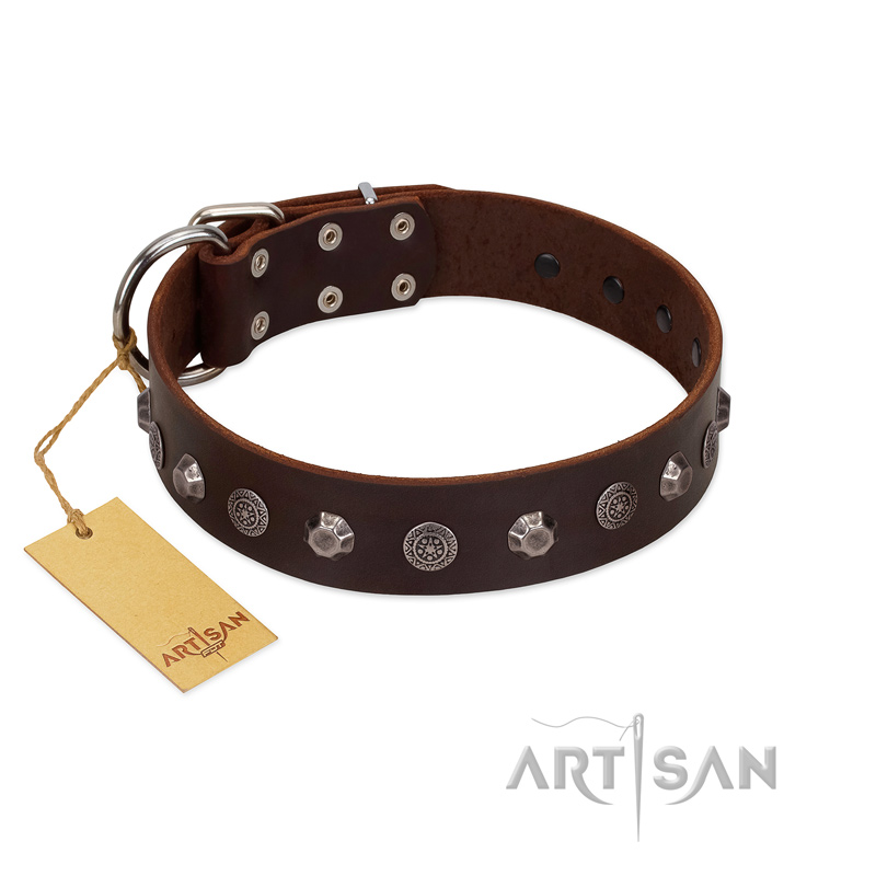 "Dark Chocolate" Handmade FDT Artisan Brown Leather Black Russian Terrier Collar with Studs