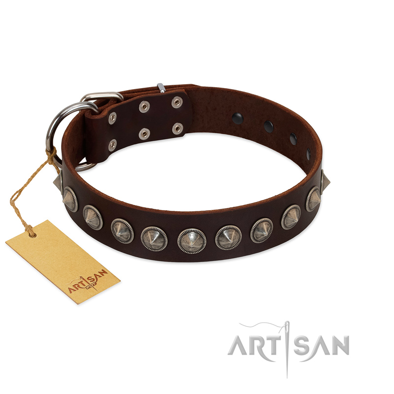 "Gothic Style" FDT Artisan Fancy Brown Leather Black Russian Terrier Collar with Silver-Like Decorations