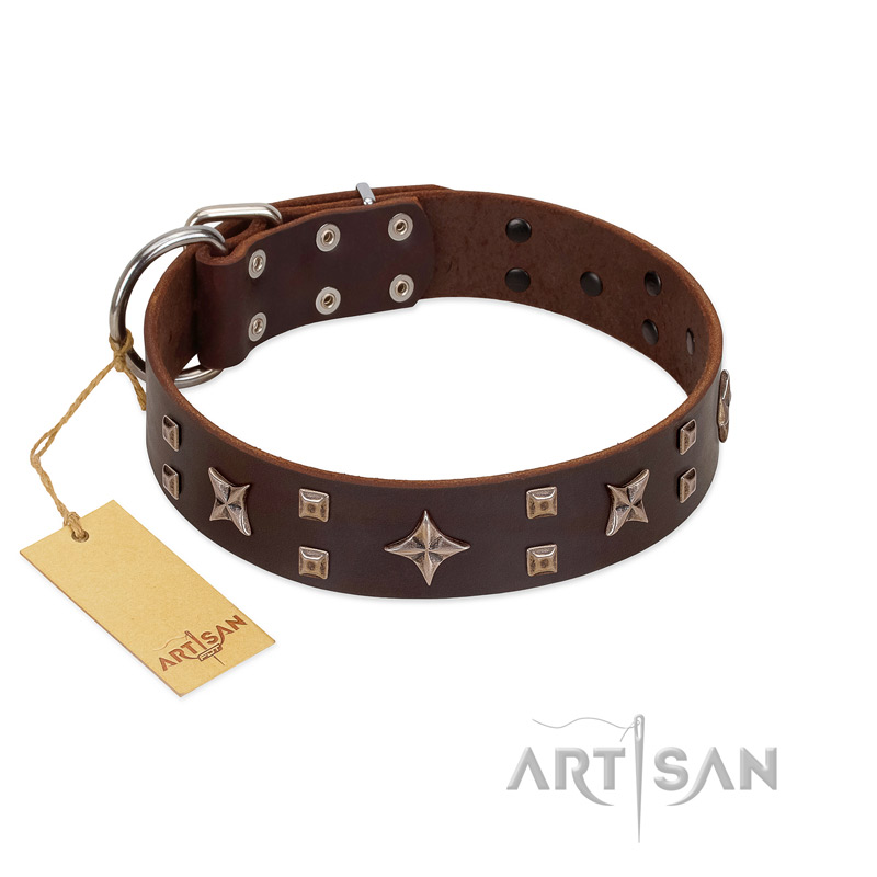 "Stars in Sands" Modern FDT Artisan Brown Leather Black Russian Terrier Collar with Studs and Stars