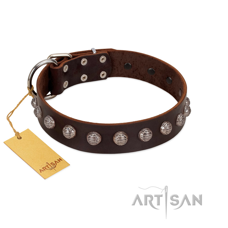 "Lucky Silver" Designer Handmade FDT Artisan Brown Leather Black Russian Terrier Collar