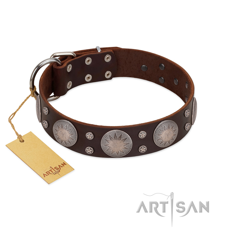 "Imperial Legate" FDT Artisan Brown Leather Black Russian Terrier Collar with Big Round Plates