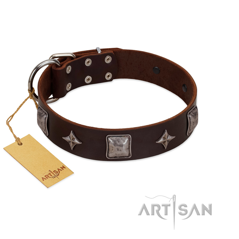 "Cold Star" Designer FDT Artisan Brown Leather Black Russian Terrier Collar with Silver-Like Adornments