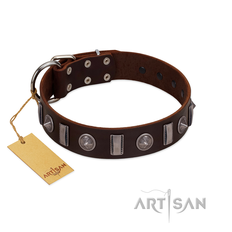 "Spiky Way" FDT Artisan Brown Leather Black Russian Terrier Collar with Silver-Like Decorations