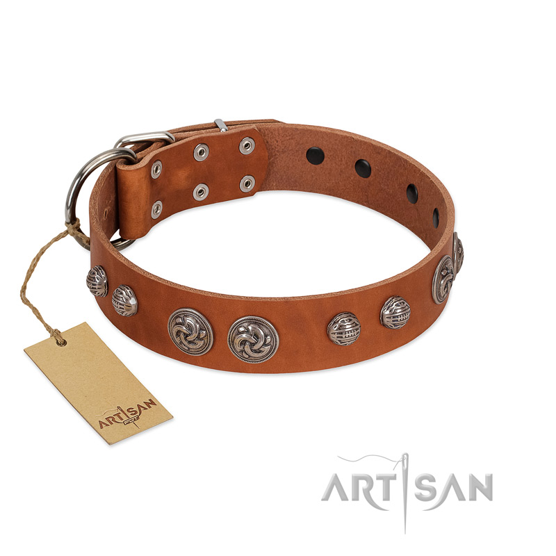 "Era Infinitum" FDT Artisan Tan Leather Black Russian Terrier Collar Adorned with Chrome-plated Circles