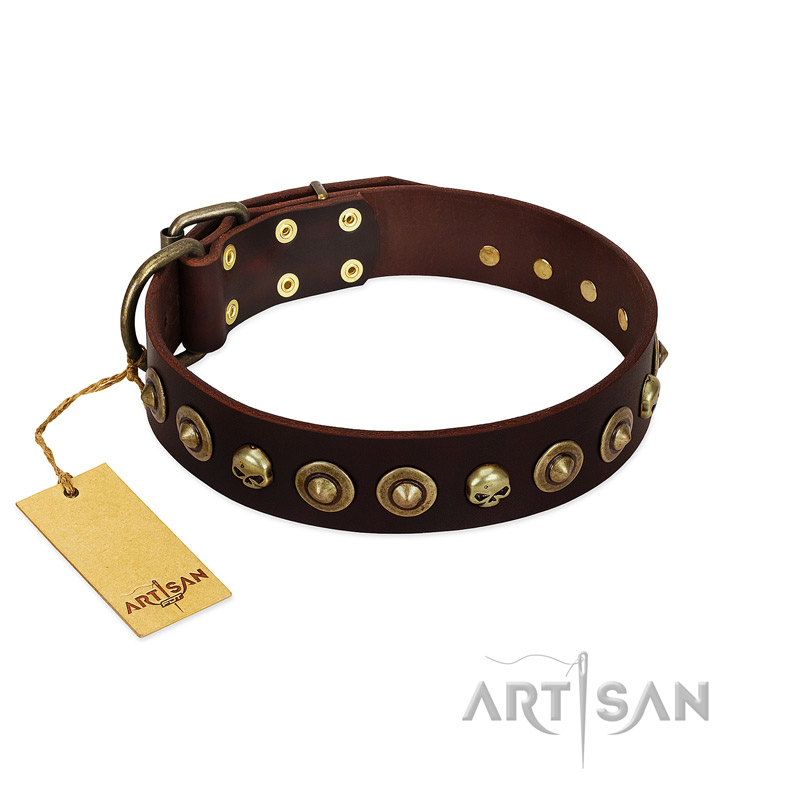 "Street Fashion" FDT Artisan Brown Leather Black Russian Terrier Collar Adorned with Circles and Skulls
