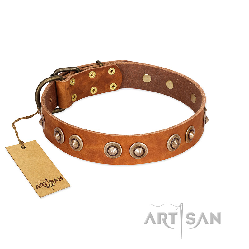 "Precious Relic" FDT Artisan Tan Leather Black Russian Terrier Collar Adorned with Old Bronze Look Studs