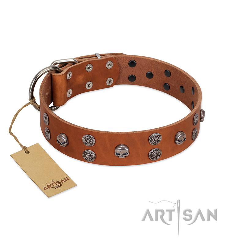 "Road Rider" FDT Artisan Tan Leather Black Russian Terrier Collar with Old Silver-like Skulls and Medallions